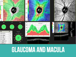 Glaucoma and Macular